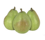  D'Anjou Pears 
