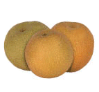  Asian Pears 
