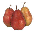  Red Bartlett Pears 