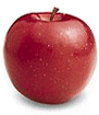  Red Rome Apples 